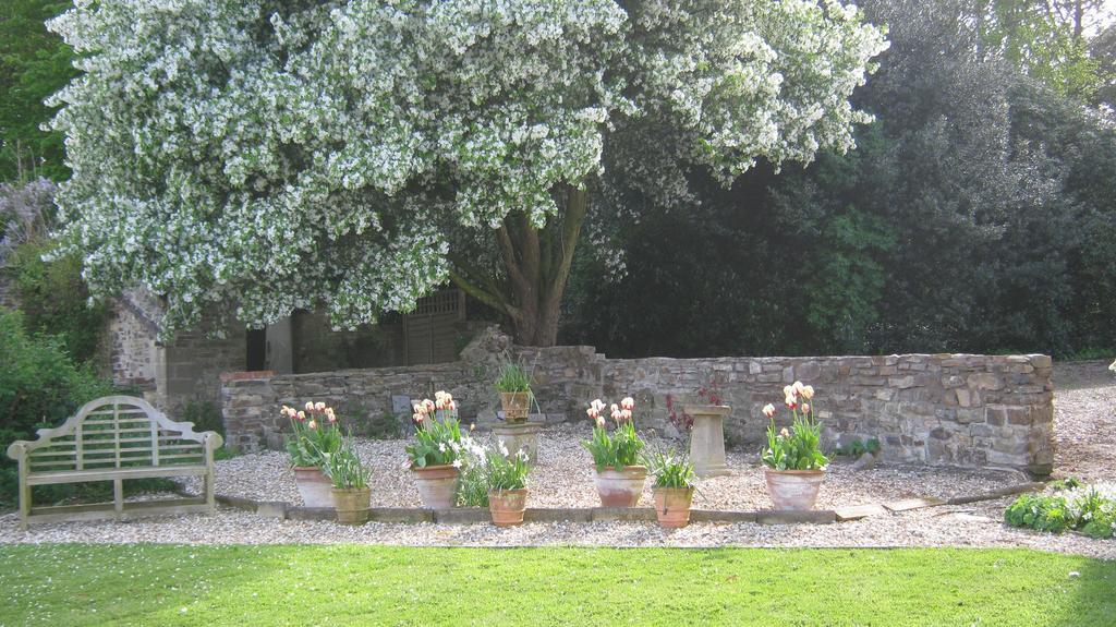 Hollamoor Farm Bed & Breakfast Barnstaple Dış mekan fotoğraf