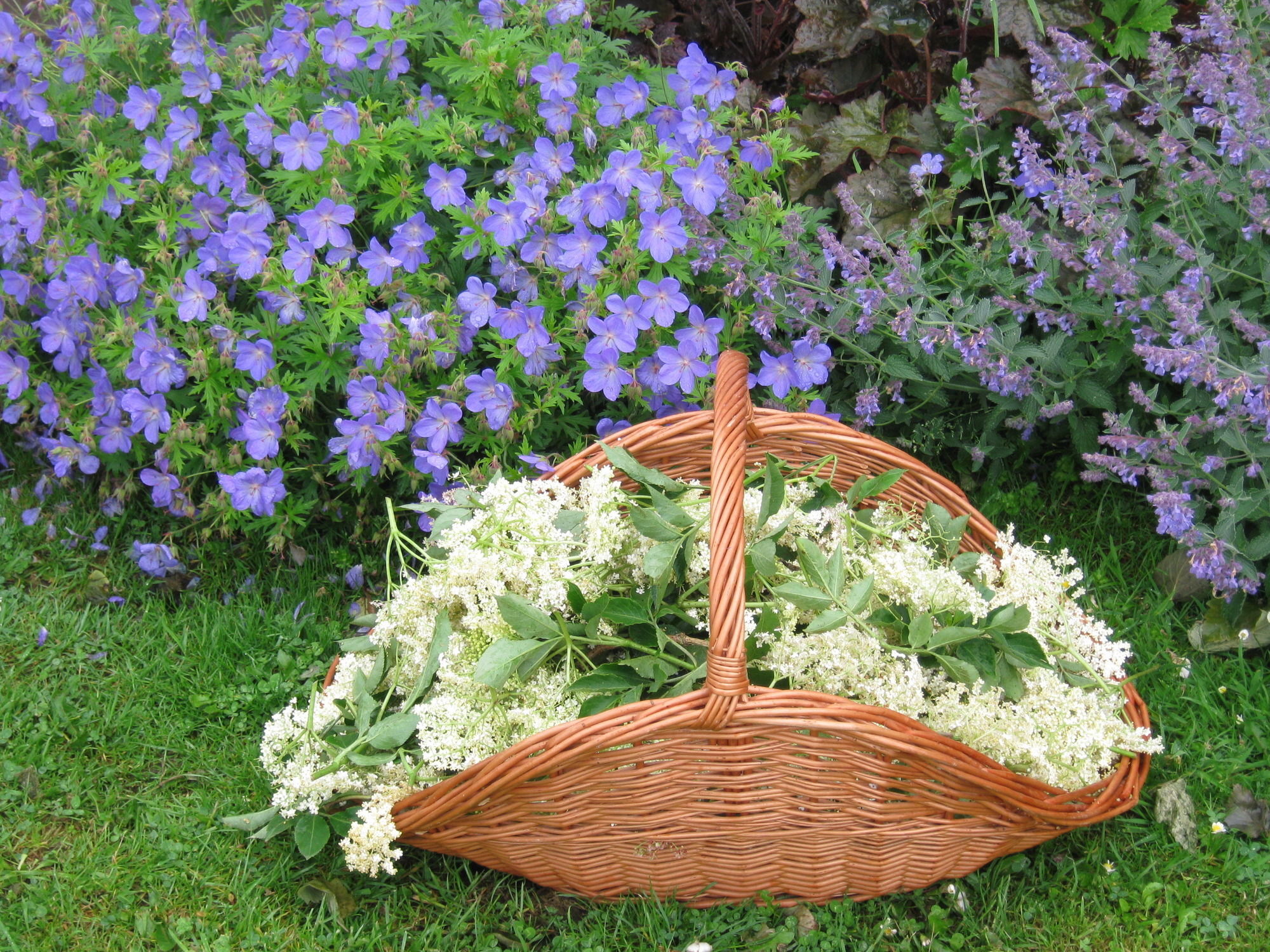 Hollamoor Farm Bed & Breakfast Barnstaple Dış mekan fotoğraf